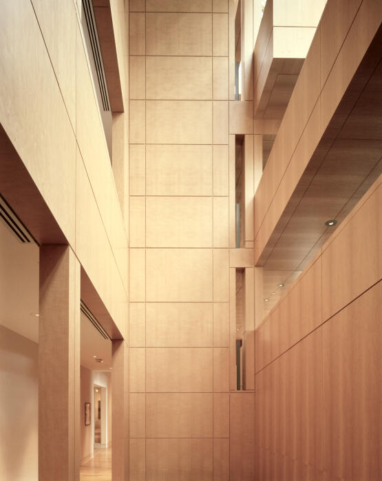 High Muesum Anegre Fiddleback.jpeg